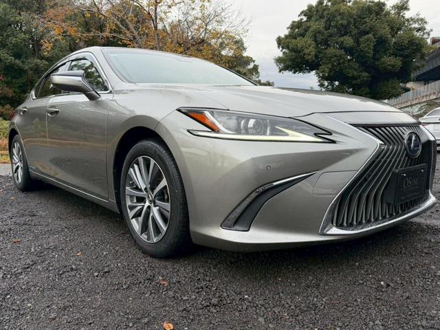 �����k�d�w�t�r���X�@�n�r�h�m�b�D����