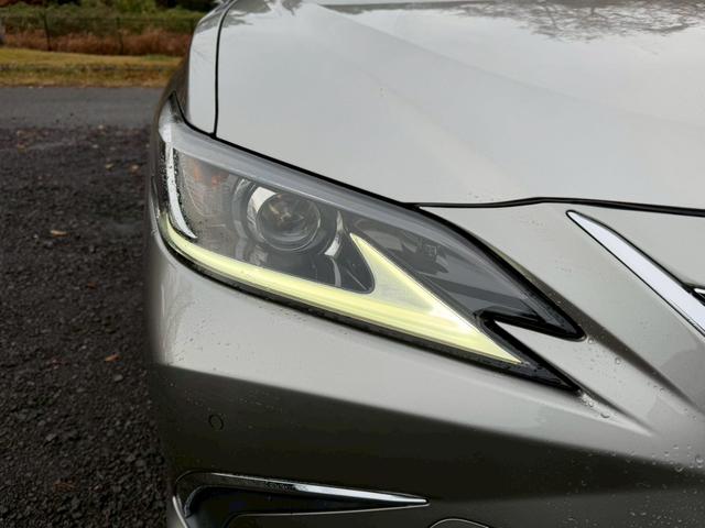 �����k�d�w�t�r���X�@�n�r�h�m�b�D����