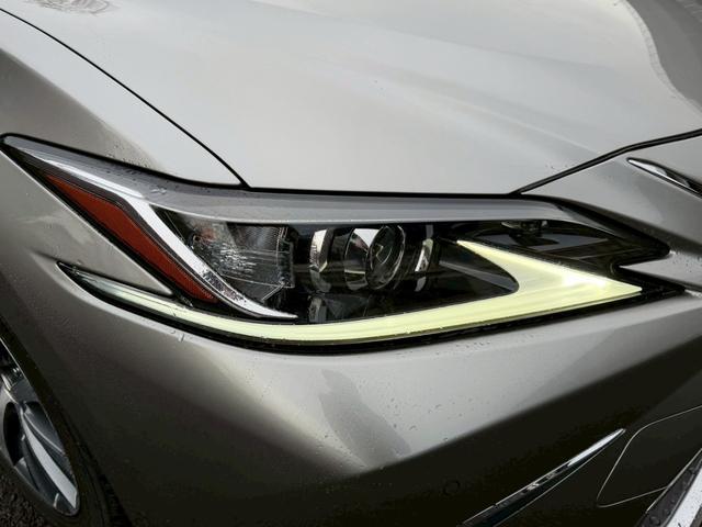 �����k�d�w�t�r���X�@�n�r�h�m�b�D����