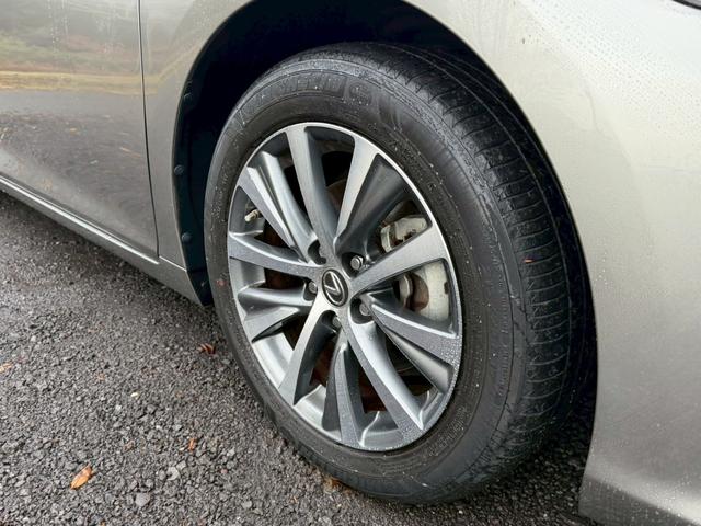 �����k�d�w�t�r���X�@�n�r�h�m�b�D����