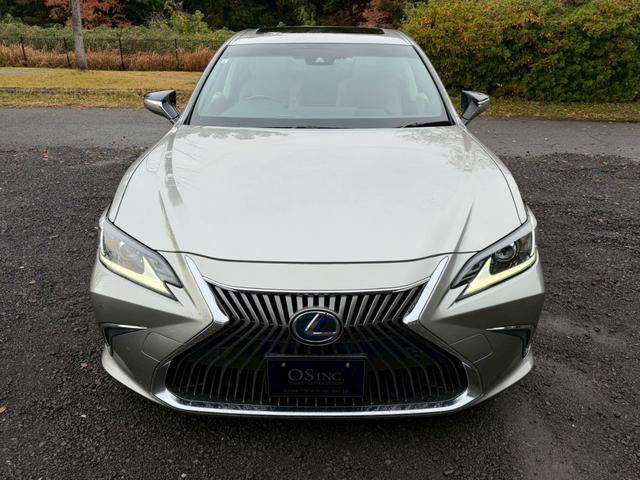 �����k�d�w�t�r���X�@�n�r�h�m�b�D����