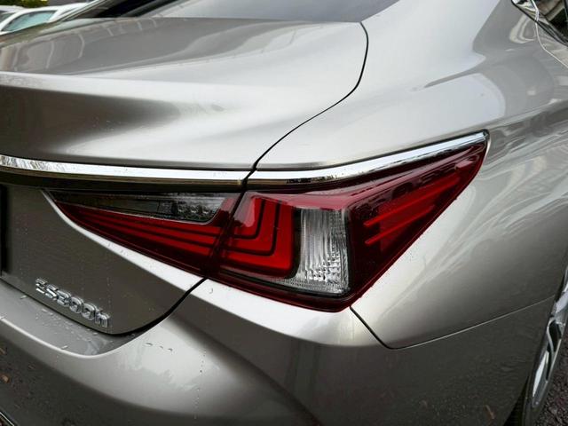 �����k�d�w�t�r���X�@�n�r�h�m�b�D����