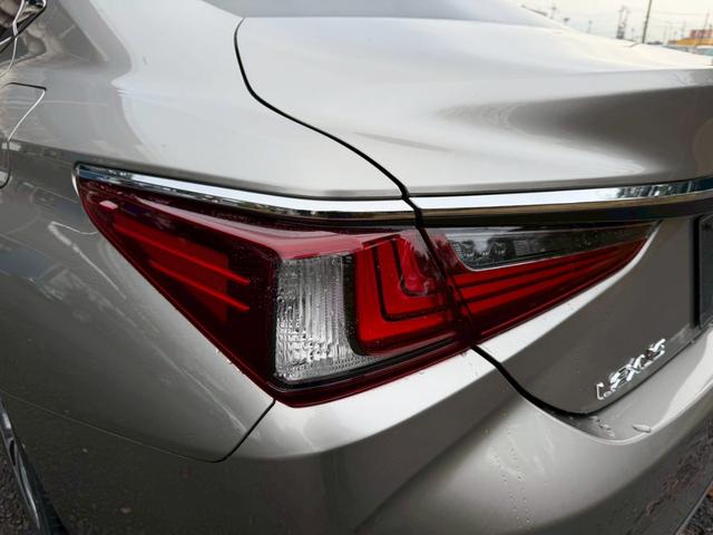 �����k�d�w�t�r���X�@�n�r�h�m�b�D����