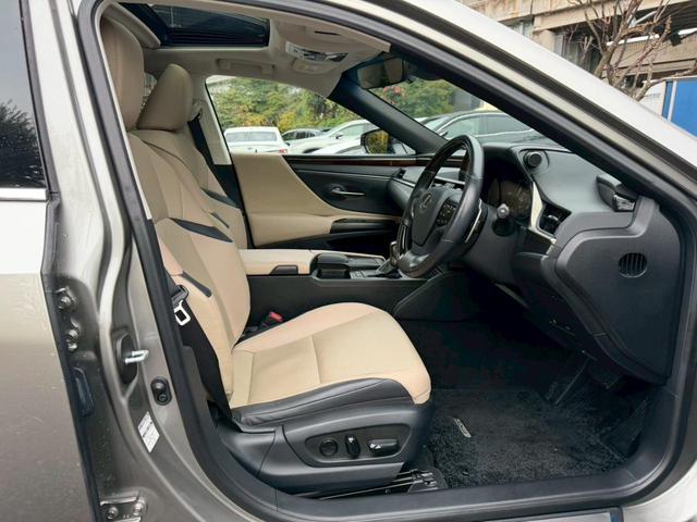 �����k�d�w�t�r���X�@�n�r�h�m�b�D����