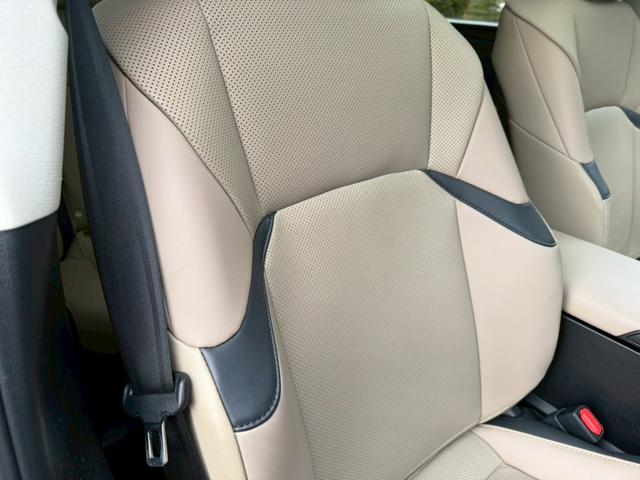 �����k�d�w�t�r���X�@�n�r�h�m�b�D����