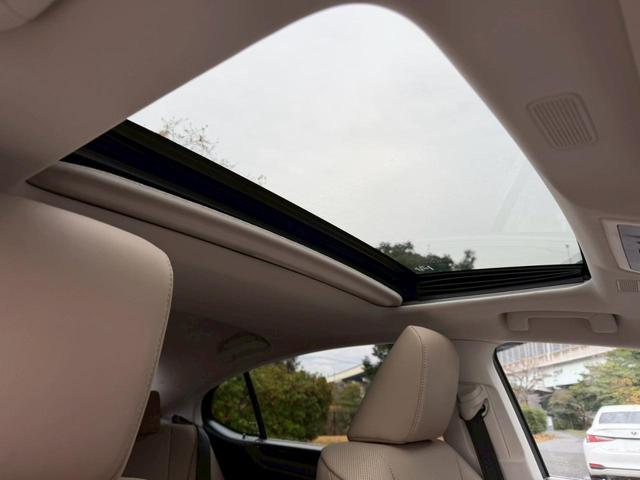 �����k�d�w�t�r���X�@�n�r�h�m�b�D����