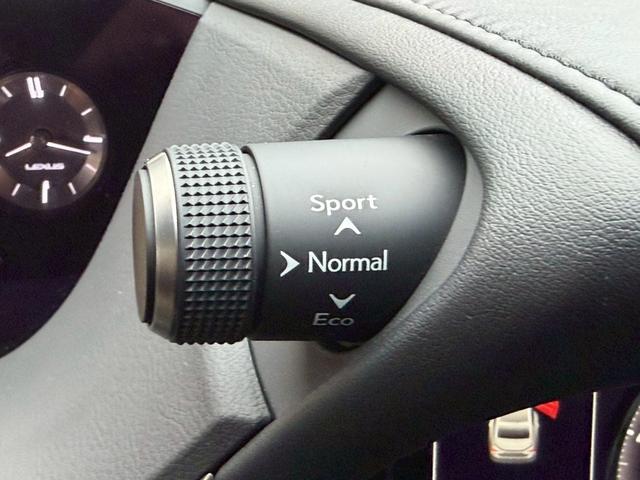 �����k�d�w�t�r���X�@�n�r�h�m�b�D����