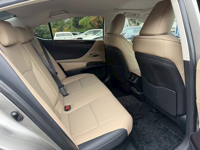 �����k�d�w�t�r���X�@�n�r�h�m�b�D����