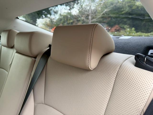 �����k�d�w�t�r���X�@�n�r�h�m�b�D����