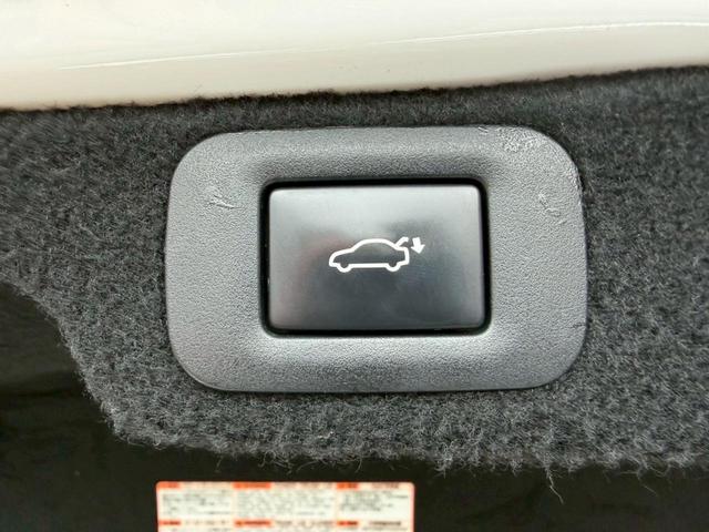 �����k�d�w�t�r���X�@�n�r�h�m�b�D����