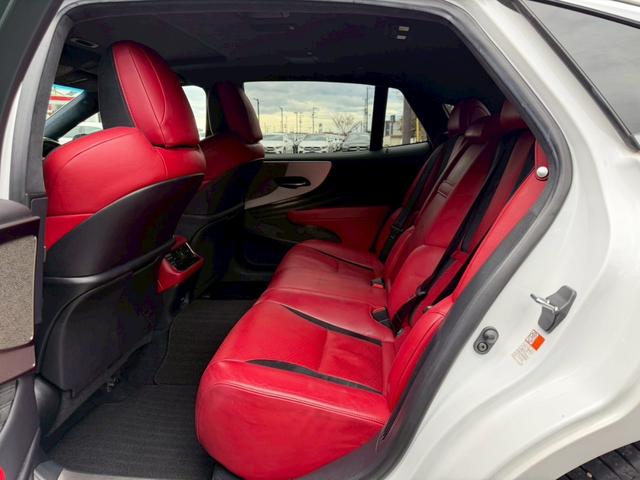 �����k�d�w�t�r���X�@�n�r�h�m�b�D����