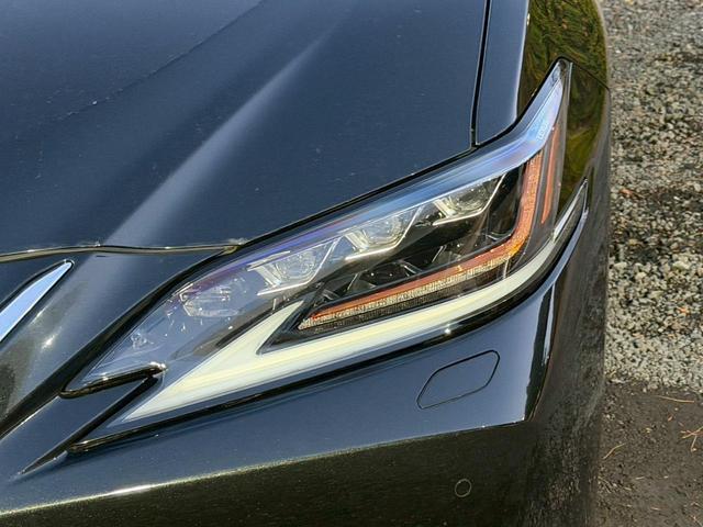 ���I�v�V�������j���[�������ɂ����p������A�����肾���̓��ʂȃL�����y�[���I���񂱂̋@��ɂ����p���������܂����ڂ����̓X�^�b�t�܂ł��₢���킹���������܂��I