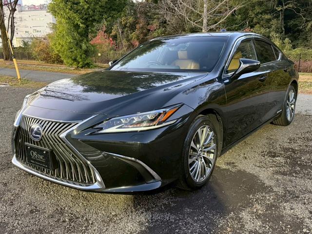 �����k�d�w�t�r���X�@�n�r�h�m�b�D����