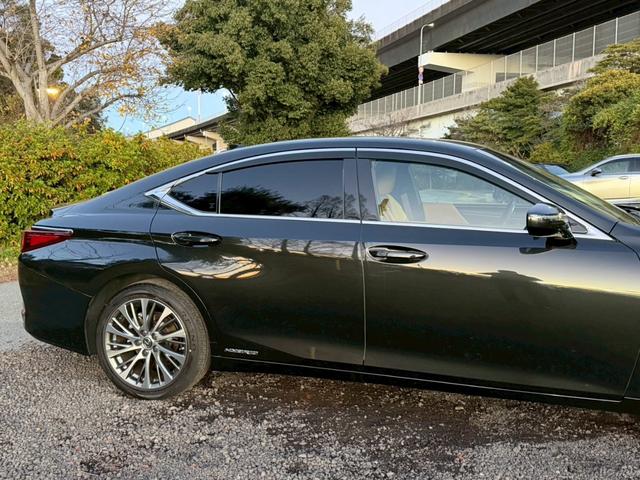 �����k�d�w�t�r���X�@�n�r�h�m�b�D����