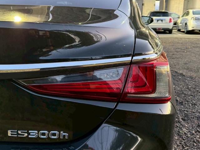 �����k�d�w�t�r���X�@�n�r�h�m�b�D����