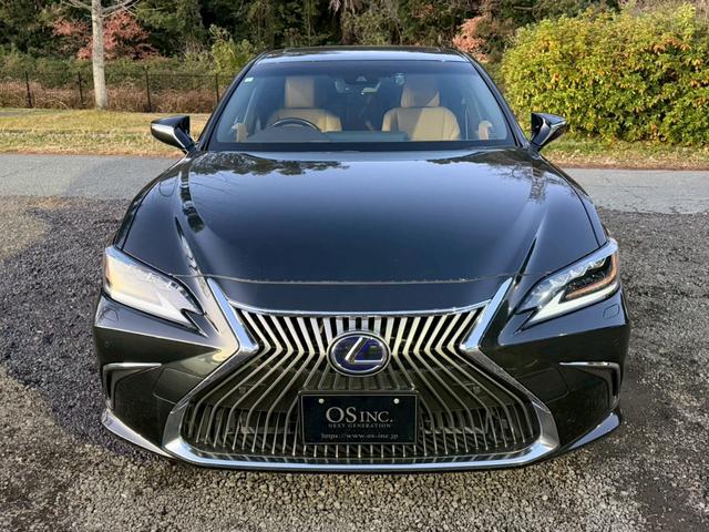 �����k�d�w�t�r���X�@�n�r�h�m�b�D����