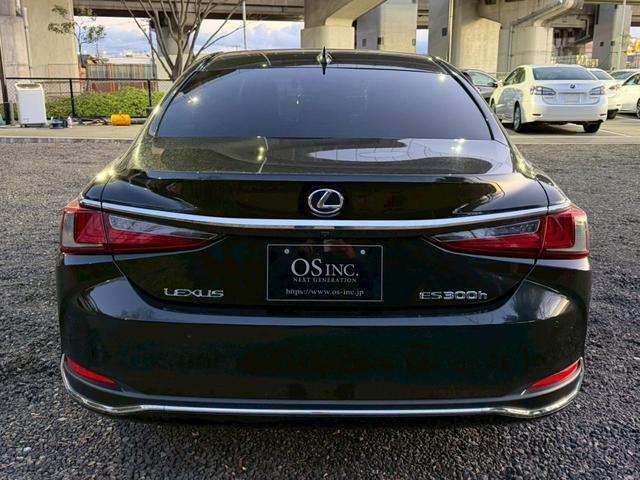 �����k�d�w�t�r���X�@�n�r�h�m�b�D����