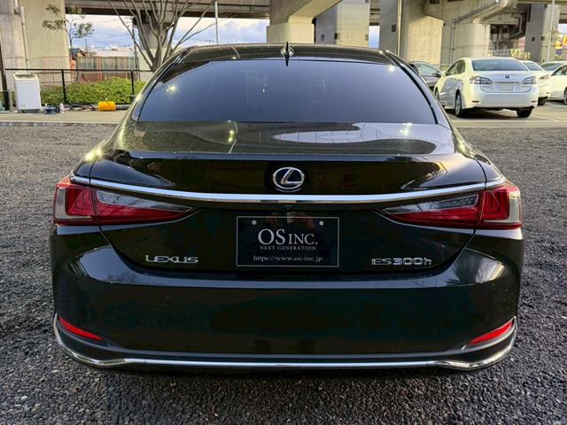 �����k�d�w�t�r���X�@�n�r�h�m�b�D����