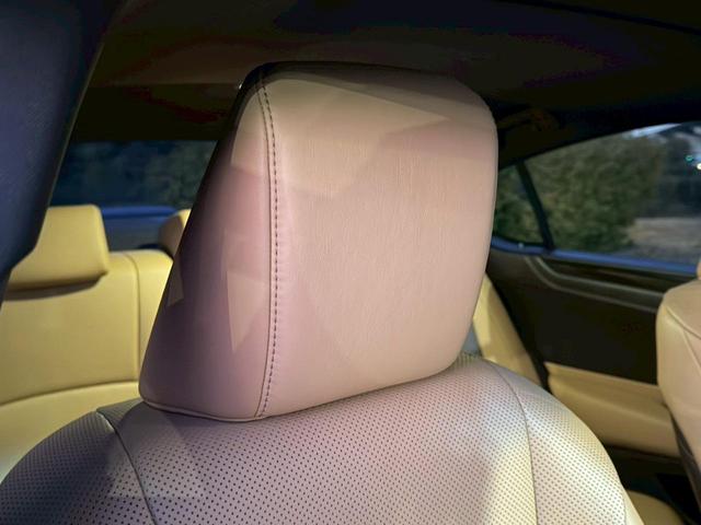 �����k�d�w�t�r���X�@�n�r�h�m�b�D����