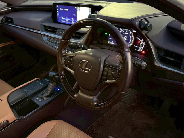 �����k�d�w�t�r���X�@�n�r�h�m�b�D����