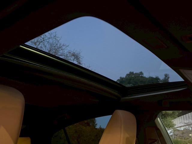 �����k�d�w�t�r���X�@�n�r�h�m�b�D����