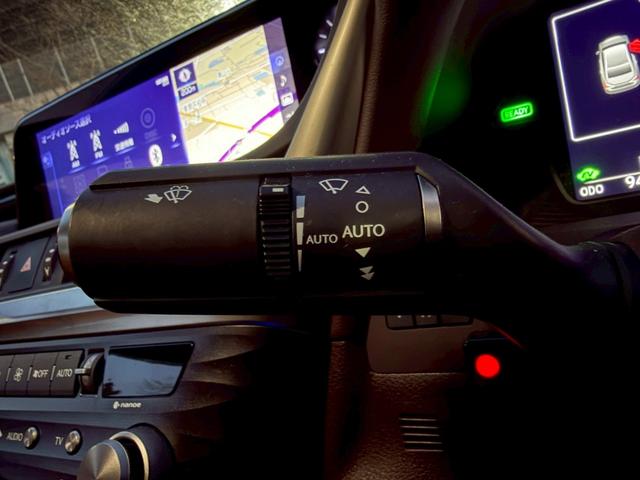 �����k�d�w�t�r���X�@�n�r�h�m�b�D����