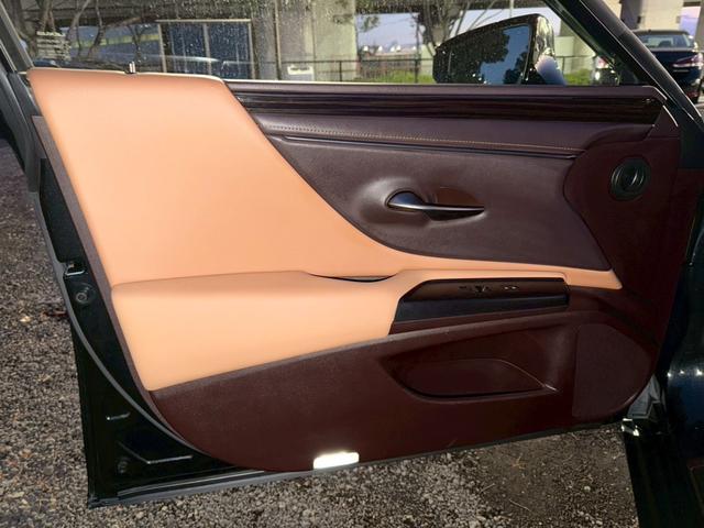 �����k�d�w�t�r���X�@�n�r�h�m�b�D����