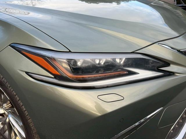 �����k�d�w�t�r���X�@�n�r�h�m�b�D����