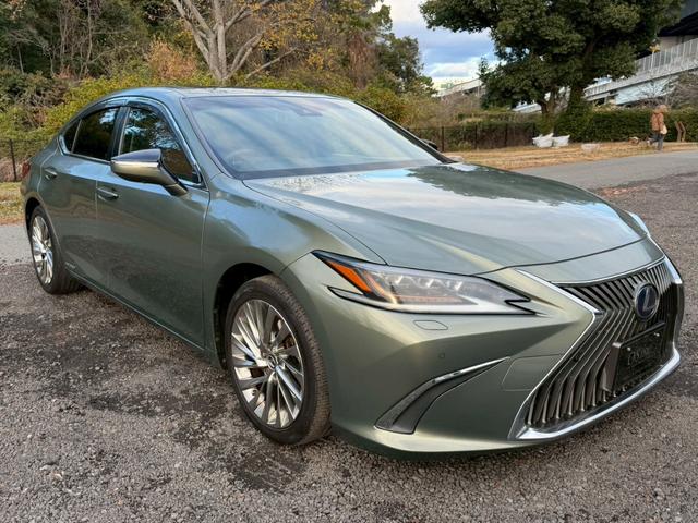 �����k�d�w�t�r���X�@�n�r�h�m�b�D����