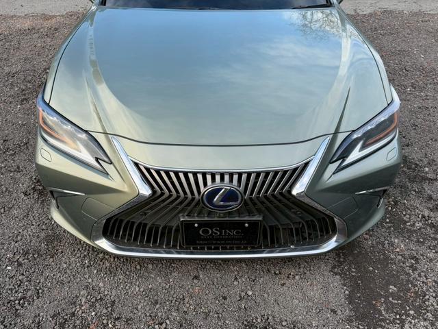 �����k�d�w�t�r���X�@�n�r�h�m�b�D����