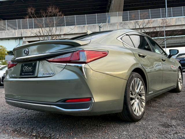 �����k�d�w�t�r���X�@�n�r�h�m�b�D����