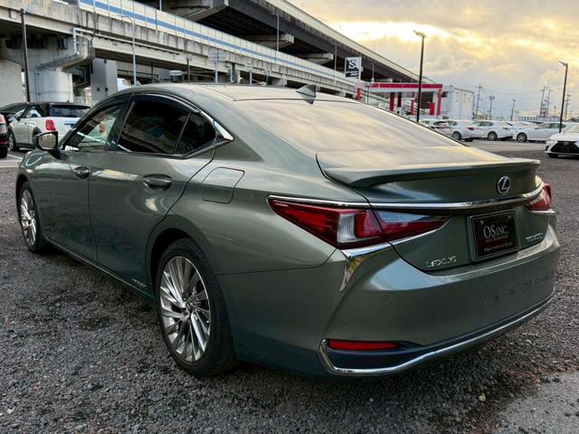 �����k�d�w�t�r���X�@�n�r�h�m�b�D����