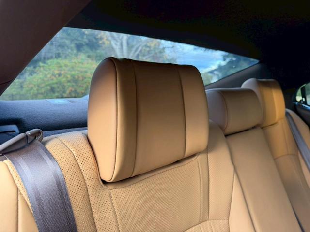 �����k�d�w�t�r���X�@�n�r�h�m�b�D����