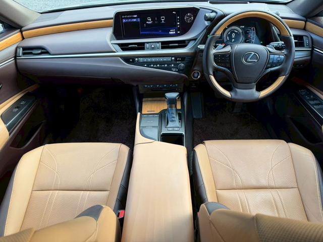 �����k�d�w�t�r���X�@�n�r�h�m�b�D����