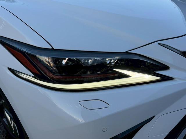 �����k�d�w�t�r���X�@�n�r�h�m�b�D����