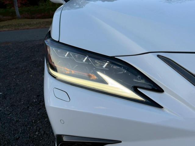 �����k�d�w�t�r���X�@�n�r�h�m�b�D����