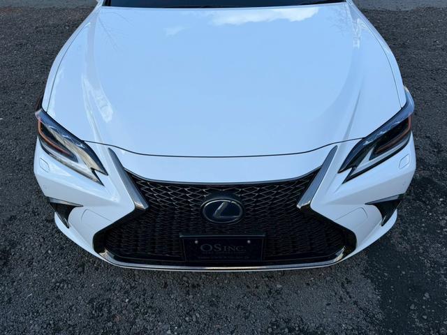 �����k�d�w�t�r���X�@�n�r�h�m�b�D����