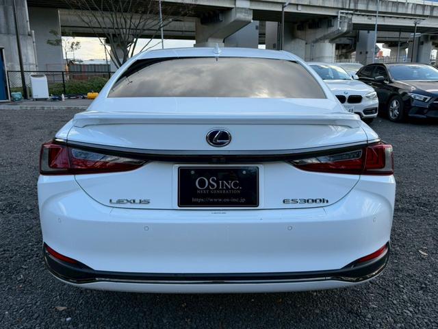 �����k�d�w�t�r���X�@�n�r�h�m�b�D����