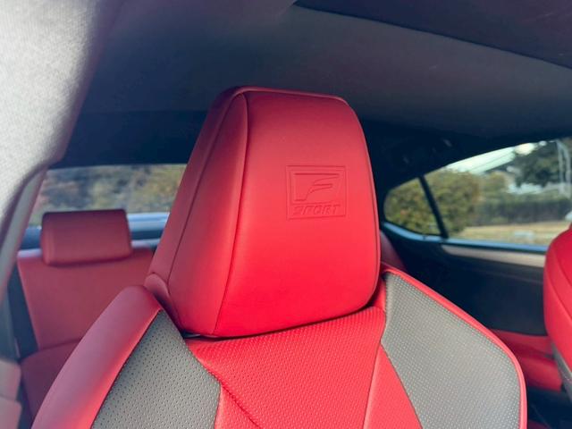 �����k�d�w�t�r���X�@�n�r�h�m�b�D����