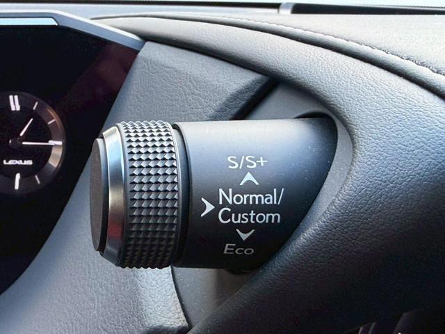 �����k�d�w�t�r���X�@�n�r�h�m�b�D����