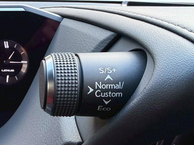 �����k�d�w�t�r���X�@�n�r�h�m�b�D����