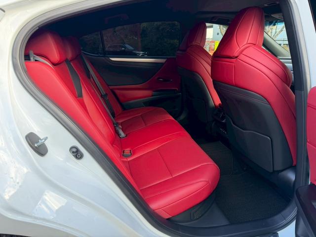 �����k�d�w�t�r���X�@�n�r�h�m�b�D����