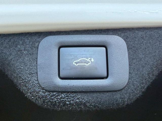 �����k�d�w�t�r���X�@�n�r�h�m�b�D����