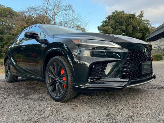 �����k�d�w�t�r���X�@�n�r�h�m�b�D����