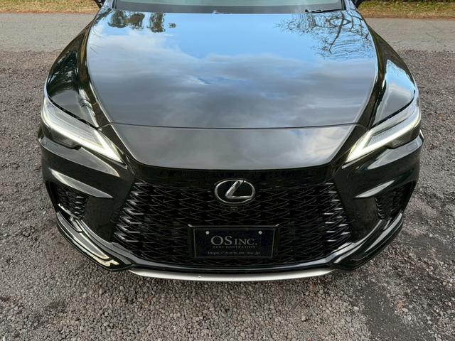 �����k�d�w�t�r���X�@�n�r�h�m�b�D����