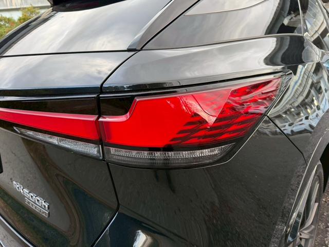 �����k�d�w�t�r���X�@�n�r�h�m�b�D����