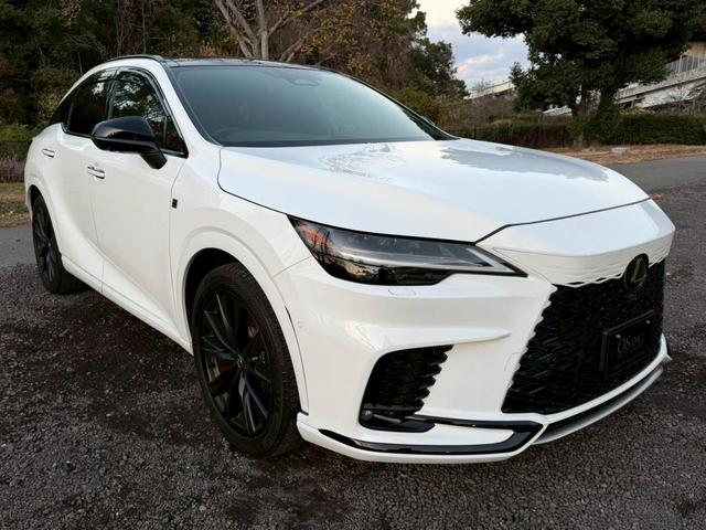 �����k�d�w�t�r���X�@�n�r�h�m�b�D����