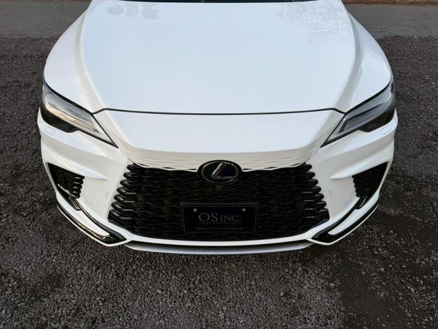 �����k�d�w�t�r���X�@�n�r�h�m�b�D����