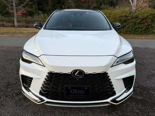 �����k�d�w�t�r���X�@�n�r�h�m�b�D����