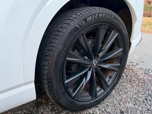 �����k�d�w�t�r���X�@�n�r�h�m�b�D����